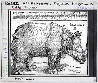 Vorschaubild Albrecht Dürer: Das Rhinozeros, Flugblatt, B 136 